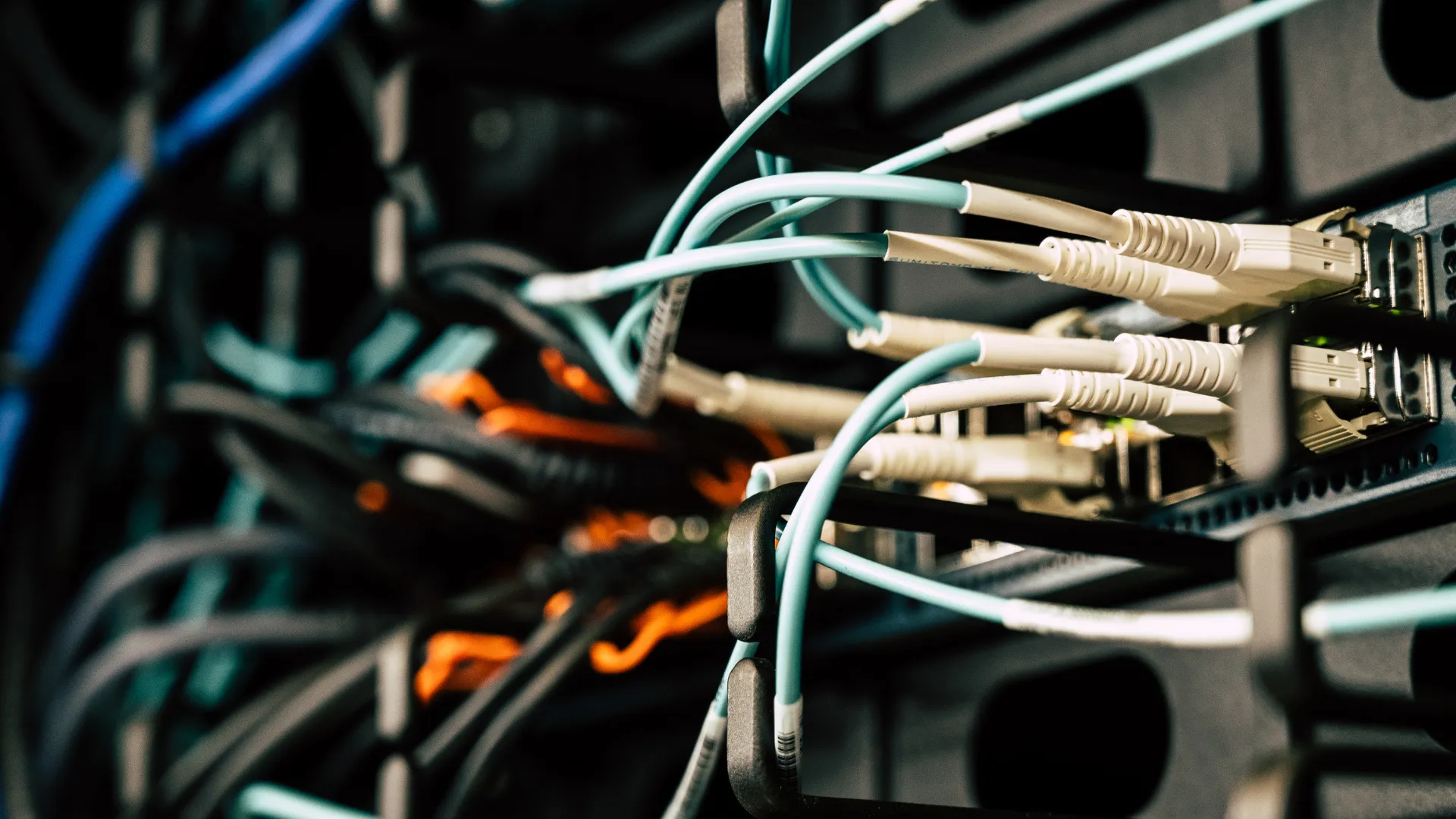 Cabos de rede conectados a equipamentos em rack de infraestrutura de dados